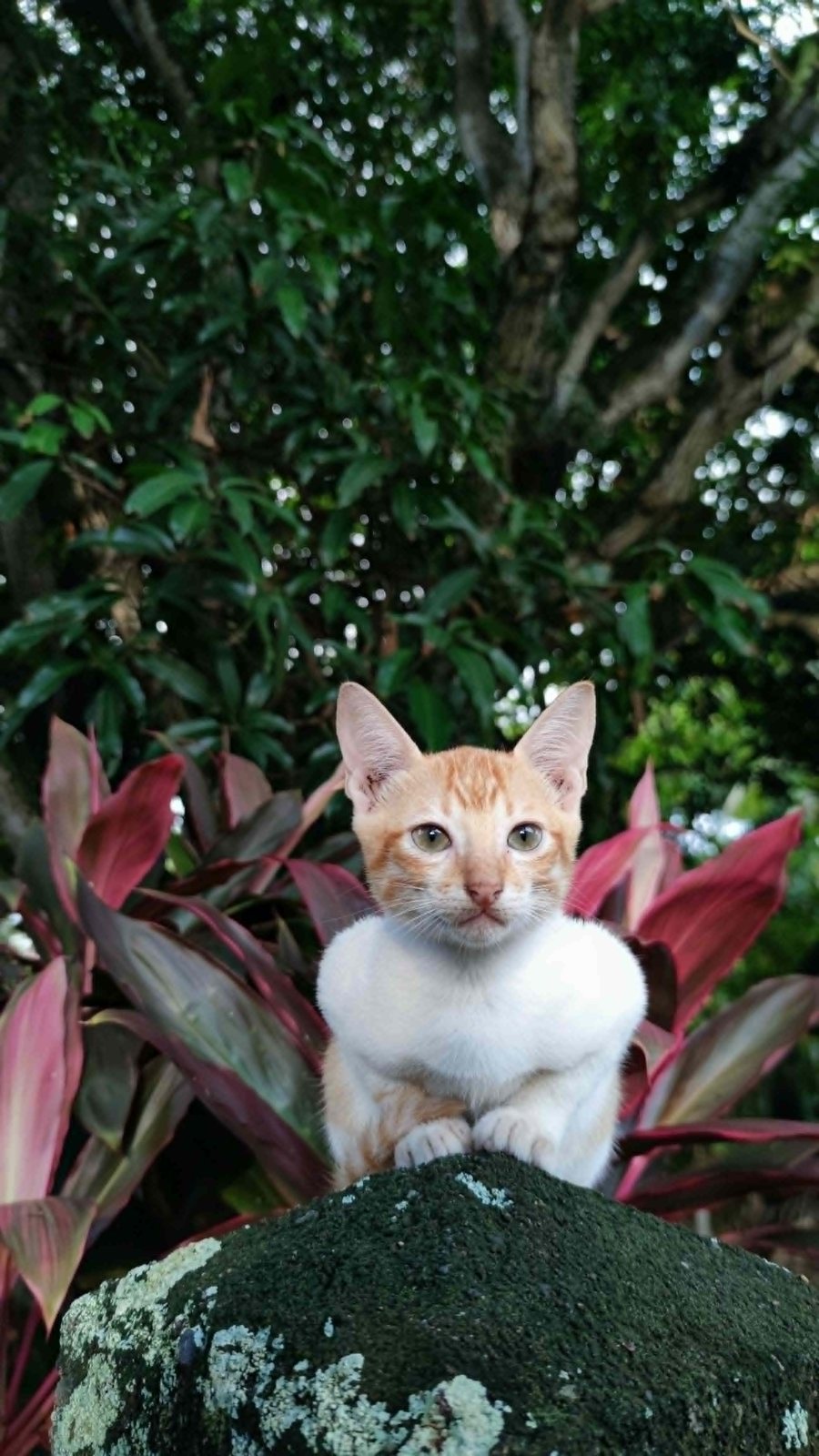 Yoyoy profile photo